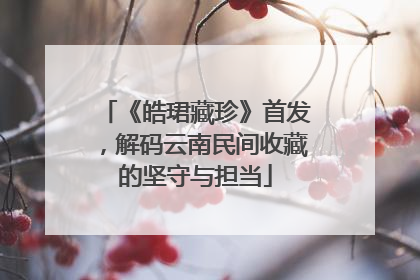 《皓珺藏珍》首发，解码云南民间收藏的坚守与担当