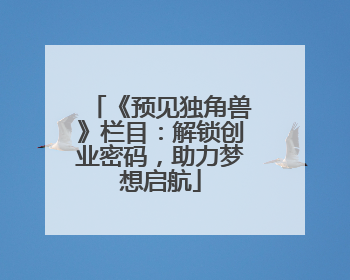 《预见独角兽》栏目：解锁创业密码，助力梦想启航