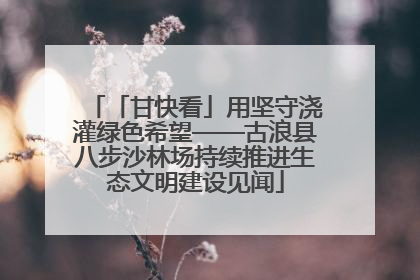 「甘快看」用坚守浇灌绿色希望——古浪县八步沙林场持续推进生态文明建设见闻