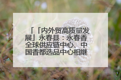 「内外贸高质量发展」永春县：永春香全球供应链中心、中国香都选品中心相继运营——一根香“点燃”百亿产业