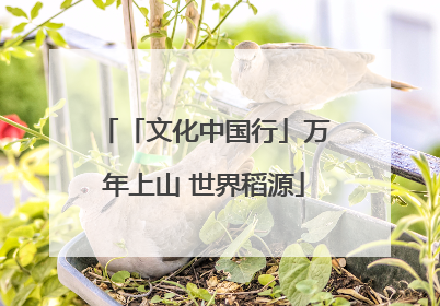 「文化中国行」万年上山 世界稻源