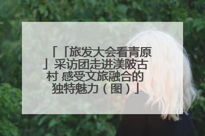 「旅发大会看青原」采访团走进渼陂古村 感受文旅融合的独特魅力（图）