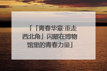 「青春华章·重走西北角」闪耀在博物馆里的青春力量