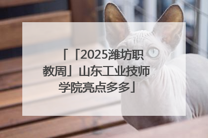 「2025潍坊职教周」山东工业技师学院亮点多多