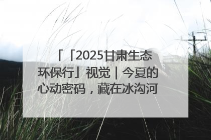 「2025甘肃生态环保行」视觉｜今夏的心动密码，藏在冰沟河的潋滟波光里