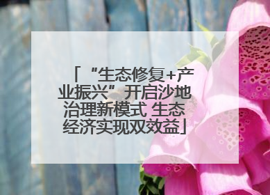 “生态修复+产业振兴”开启沙地治理新模式 生态经济实现双效益