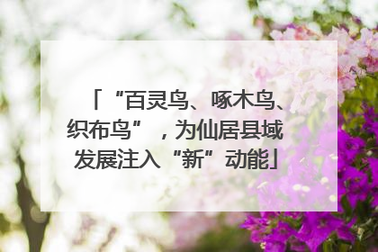 “百灵鸟、啄木鸟、织布鸟”，为仙居县域发展注入“新”动能