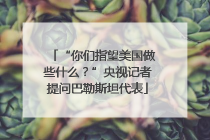“你们指望美国做些什么？”央视记者提问巴勒斯坦代表