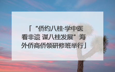 “侨约八桂·学中医 看非遗 谋八桂发展”海外侨商侨领研修班举行