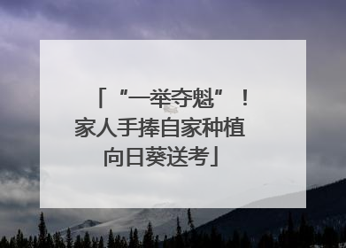 “一举夺魁”！家人手捧自家种植向日葵送考