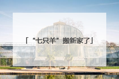 “七只羊”搬新家了