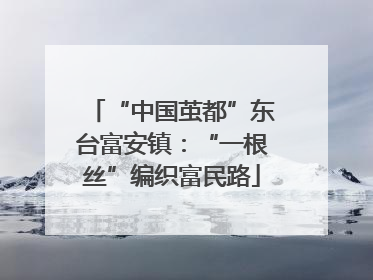 “中国茧都”东台富安镇：“一根丝”编织富民路