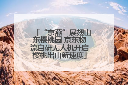 “京燕”展翅山东樱桃园 京东物流自研无人机开启樱桃出山新速度
