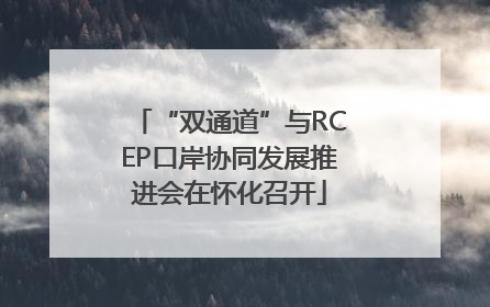 “双通道”与RCEP口岸协同发展推进会在怀化召开