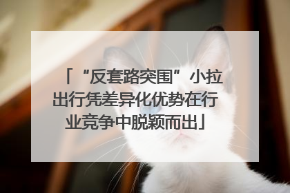 “反套路突围”小拉出行凭差异化优势在行业竞争中脱颖而出