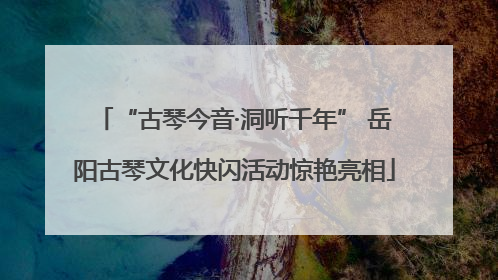 “古琴今音·洞听千年” 岳阳古琴文化快闪活动惊艳亮相