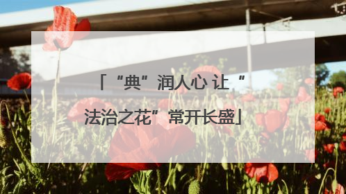 “典”润人心 让“法治之花”常开长盛