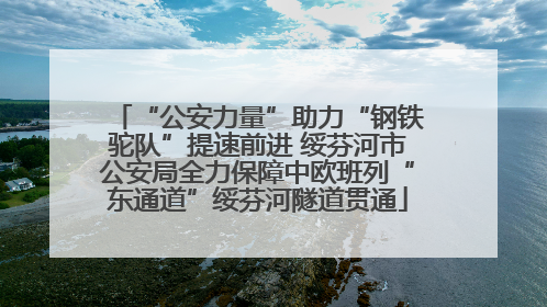 “公安力量”助力“钢铁驼队”提速前进 绥芬河市公安局全力保障中欧班列“东通道”绥芬河隧道贯通