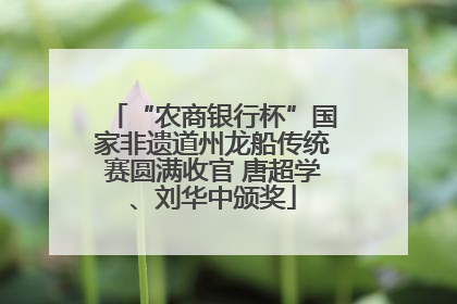 “农商银行杯”国家非遗道州龙船传统赛圆满收官 唐超学、刘华中颁奖