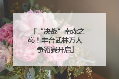 “决战”南森之巅！丰台武林万人争霸赛开启