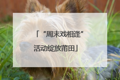 “周末戏相逢”活动绽放莆田