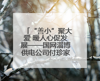 “善小”聚大爱 暖人心促发展——国网淄博供电公司付珍家庭获评全国文明家庭背后的文明密码
