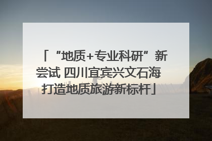 “地质+专业科研”新尝试 四川宜宾兴文石海打造地质旅游新标杆