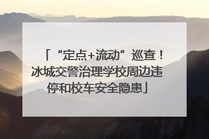 “定点+流动”巡查！冰城交警治理学校周边违停和校车安全隐患