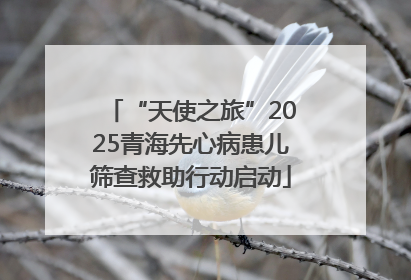 “天使之旅”2025青海先心病患儿筛查救助行动启动