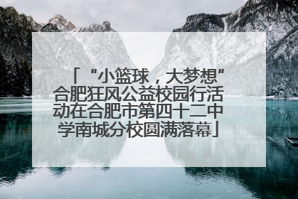 “小篮球，大梦想”合肥狂风公益校园行活动在合肥市第四十二中学南城分校圆满落幕