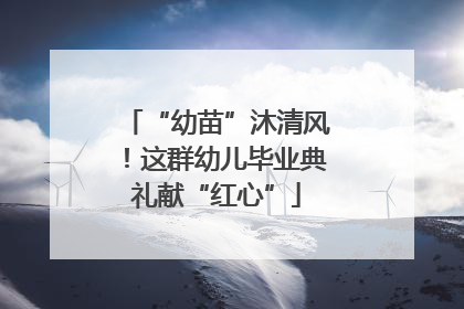 “幼苗”沐清风！这群幼儿毕业典礼献“红心”