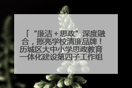 “廉洁＋思政”深度融合，擦亮学校清廉品牌！历城区大中小学思政教育一体化建设第四子工作组举行共建活动