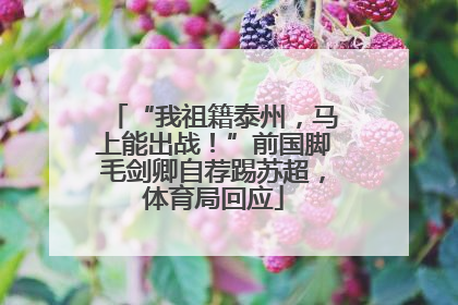 “我祖籍泰州，马上能出战！”前国脚毛剑卿自荐踢苏超，体育局回应