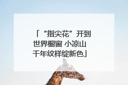“指尖花”开到世界橱窗 小凉山千年纹样绽新色