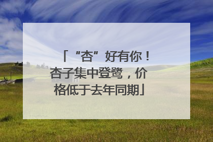 “杏”好有你！杏子集中登鹭，价格低于去年同期