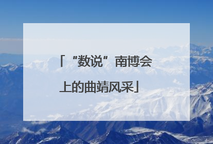 “数说”南博会上的曲靖风采