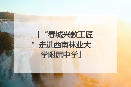 “春城兴教工匠”走进西南林业大学附属中学