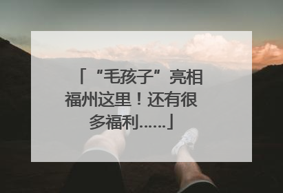 “毛孩子”亮相福州这里！还有很多福利……