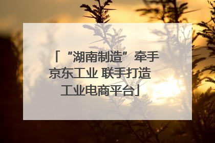 “湖南制造”牵手京东工业 联手打造工业电商平台