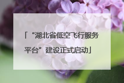“湖北省低空飞行服务平台”建设正式启动