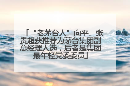 “老茅台人”向平、张贵超获推荐为茅台集团副总经理人选，后者是集团最年轻党委委员