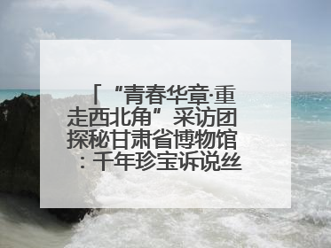 “青春华章·重走西北角”采访团探秘甘肃省博物馆：千年珍宝诉说丝路辉煌