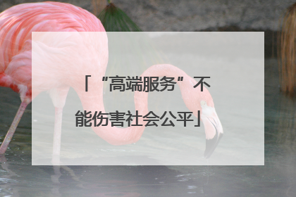 “高端服务”不能伤害社会公平