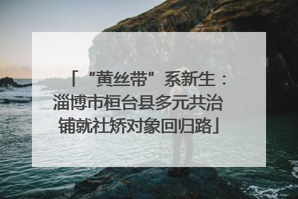 “黄丝带”系新生：淄博市桓台县多元共治铺就社矫对象回归路