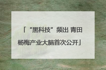 “黑科技”频出 青田杨梅产业大脑首次公开