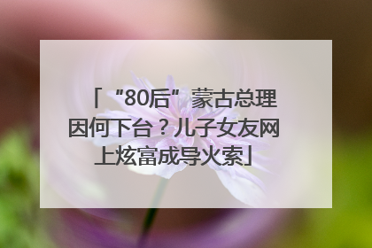 “80后”蒙古总理因何下台？儿子女友网上炫富成导火索