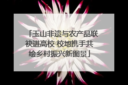 玉山非遗与农产品联袂进高校 校地携手共绘乡村振兴新图景