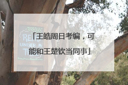 王皓周日考编，可能和王楚钦当同事