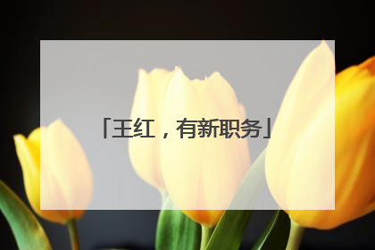 王红，有新职务