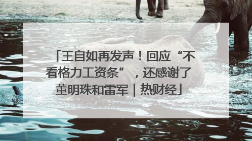 王自如再发声！回应“不看格力工资条”，还感谢了董明珠和雷军｜热财经